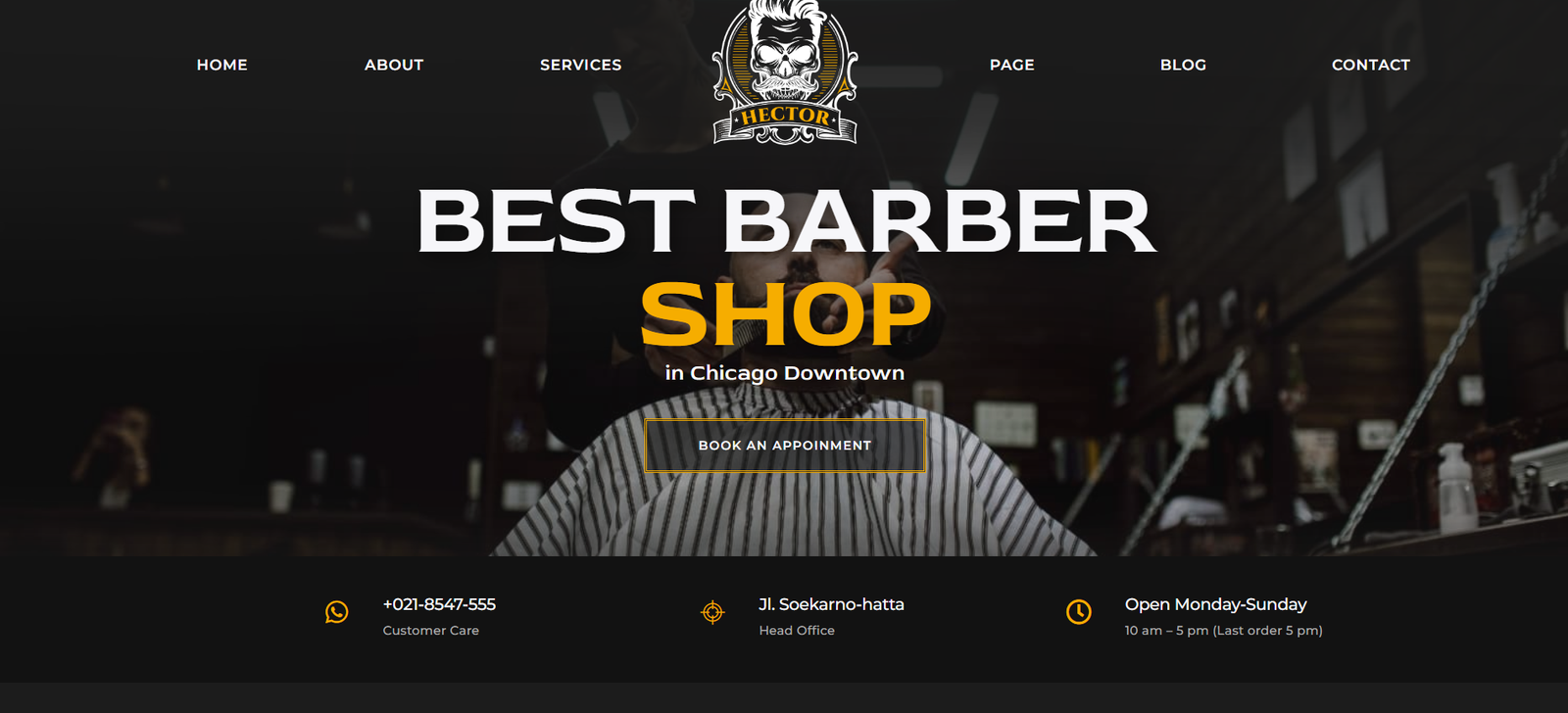 digital designer, freelance website designer, website design company, custom website design company, top rated web development company